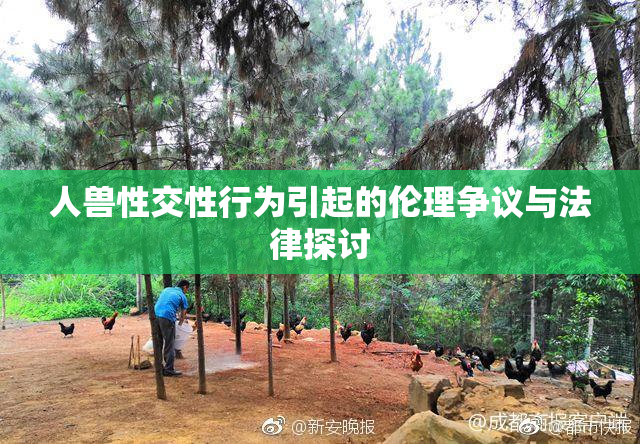 人兽性交性行为引起的伦理争议与法律探讨