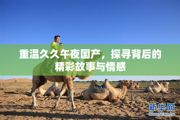 重温久久午夜国产，探寻背后的精彩故事与情感