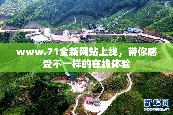 www.71全新网站上线，带你感受不一样的在线体验