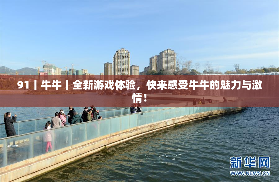 91丨牛牛丨全新游戏体验，快来感受牛牛的魅力与激情！