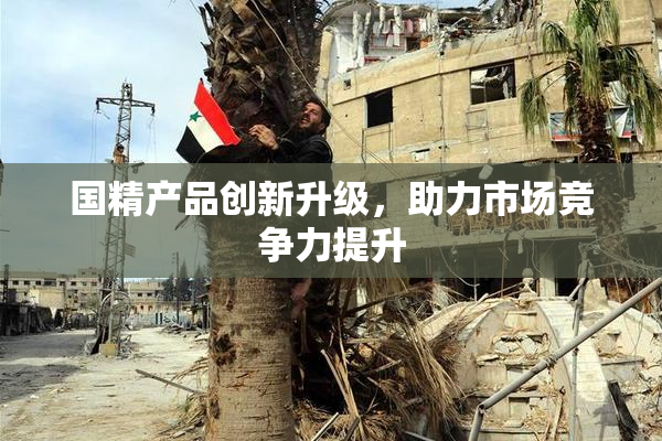 国精产品创新升级，助力市场竞争力提升