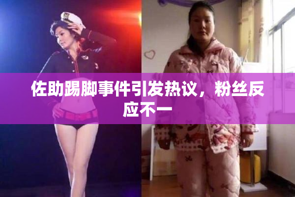 佐助踢脚事件引发热议，粉丝反应不一