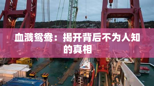 血溅鸳鸯：揭开背后不为人知的真相