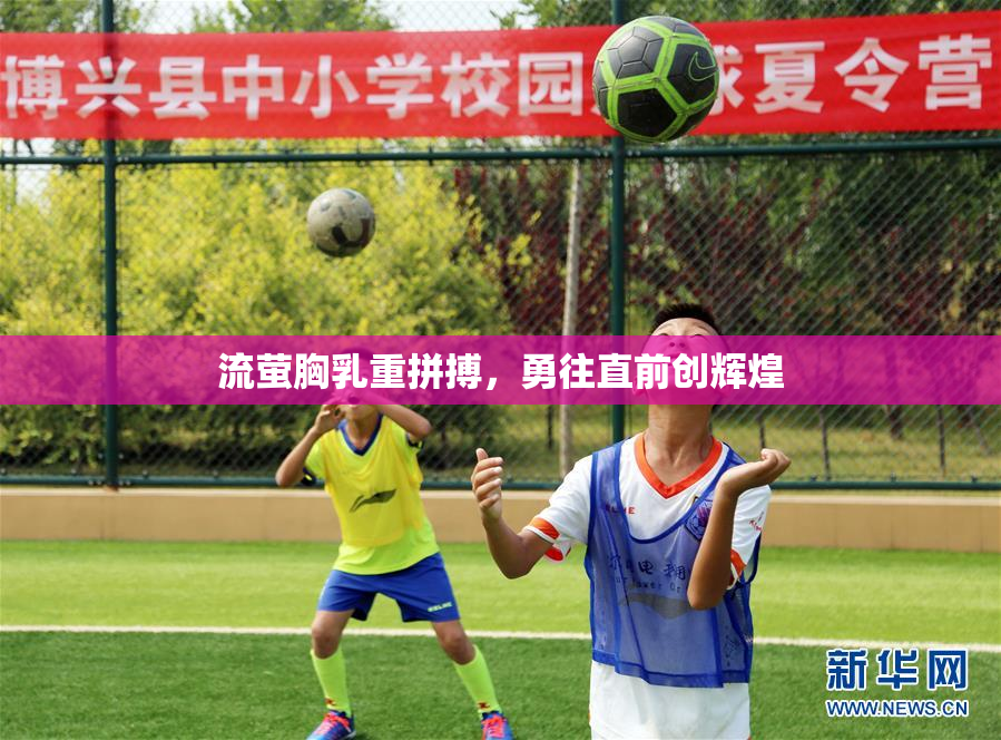 流萤胸乳重拼搏，勇往直前创辉煌