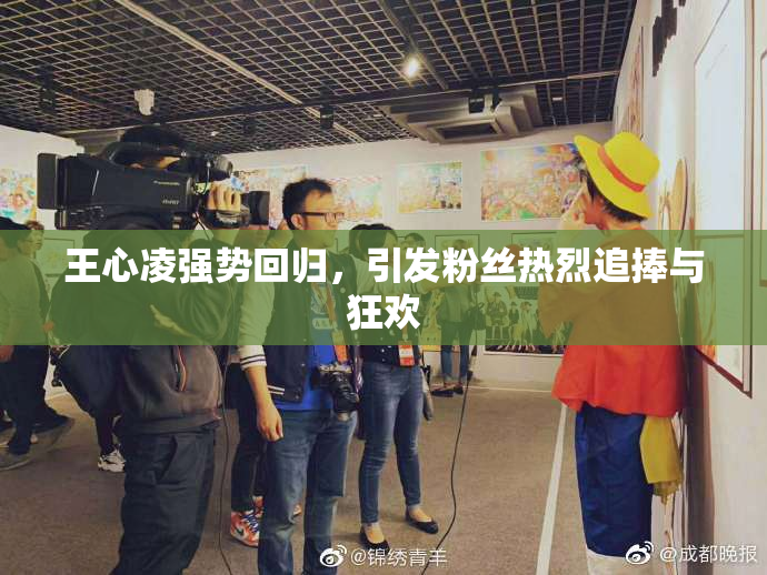 王心凌强势回归，引发粉丝热烈追捧与狂欢