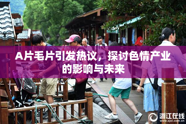 A片毛片引发热议，探讨色情产业的影响与未来