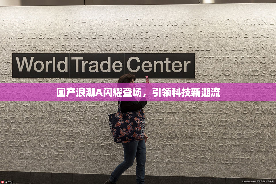 国产浪潮A闪耀登场，引领科技新潮流