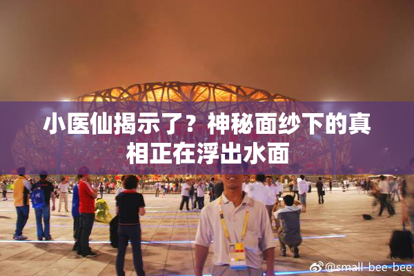 小医仙揭示了？神秘面纱下的真相正在浮出水面