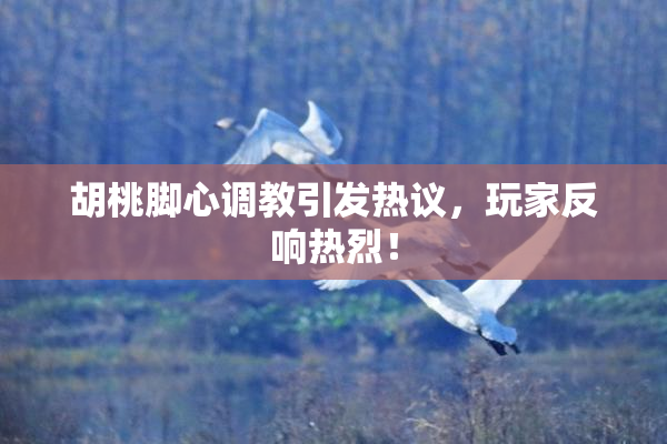 胡桃脚心调教引发热议，玩家反响热烈！