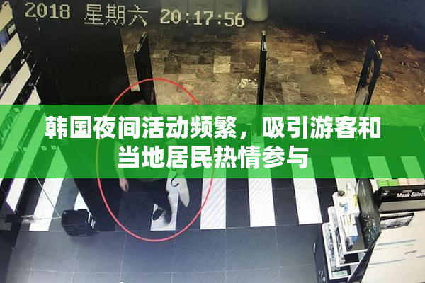 韩国夜间活动频繁，吸引游客和当地居民热情参与