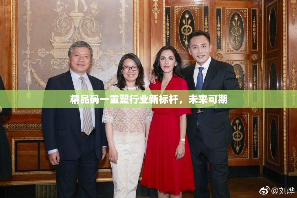 精品码一重塑行业新标杆，未来可期