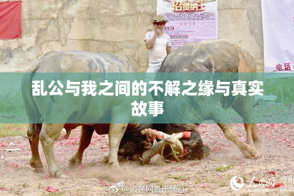 乱公与我之间的不解之缘与真实故事
