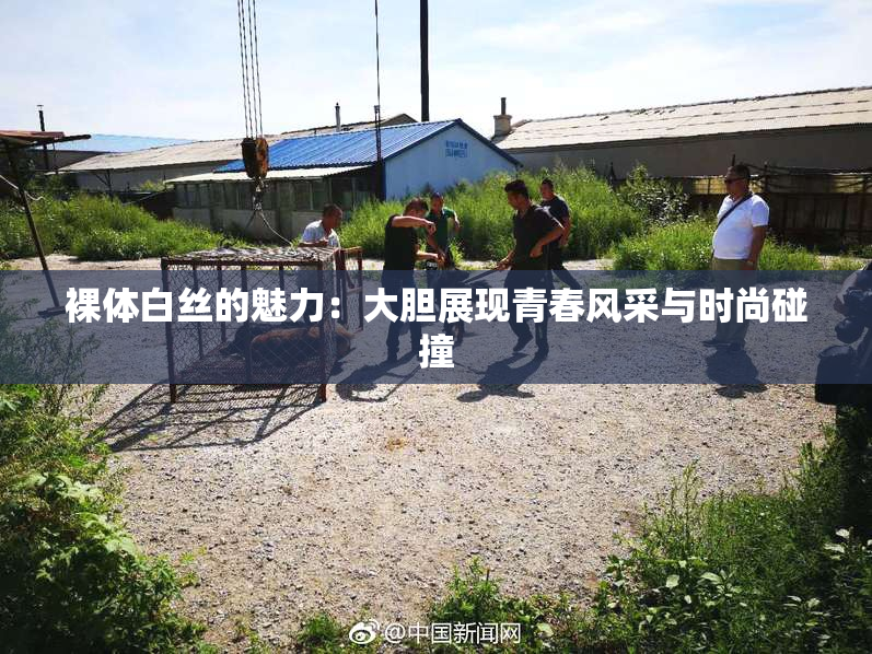 裸体白丝的魅力：大胆展现青春风采与时尚碰撞