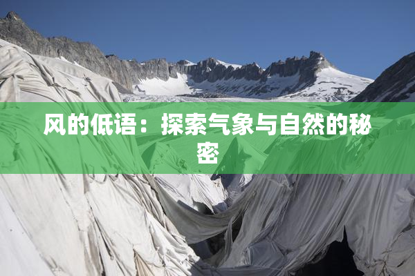 风的低语：探索气象与自然的秘密