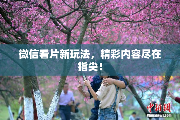 微信看片新玩法，精彩内容尽在指尖！