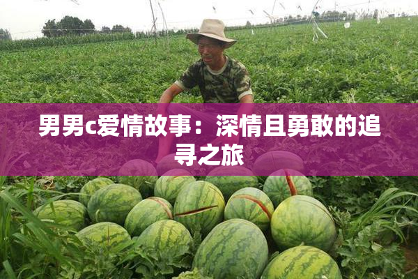 男男c爱情故事：深情且勇敢的追寻之旅