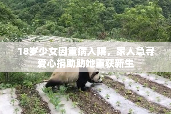 18岁少女因重病入院，家人急寻爱心捐助助她重获新生