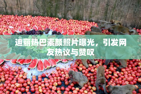 迪丽热巴素颜照片曝光，引发网友热议与赞叹
