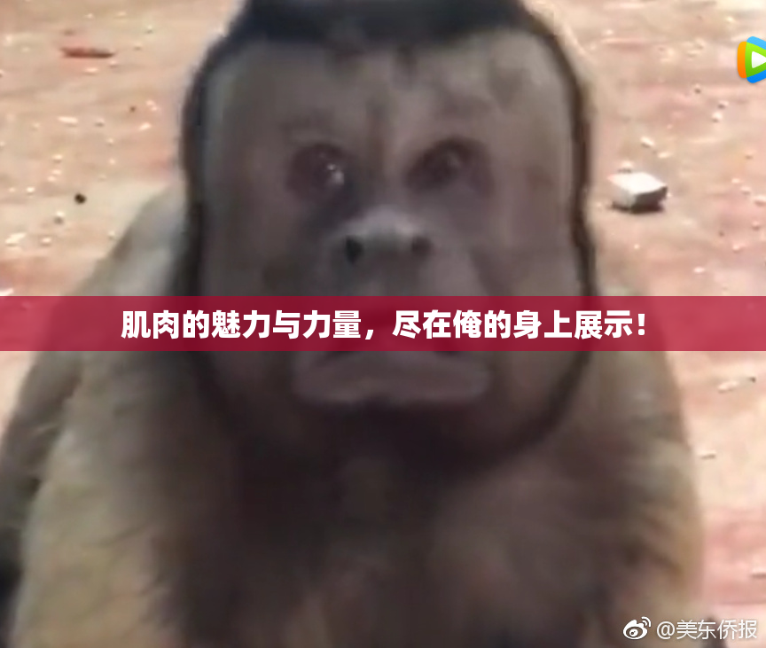 肌肉的魅力与力量，尽在俺的身上展示！
