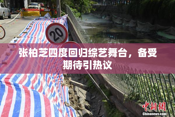 张柏芝四度回归综艺舞台，备受期待引热议