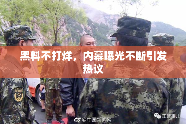 黑料不打烊，内幕曝光不断引发热议