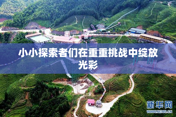 小小探索者们在重重挑战中绽放光彩