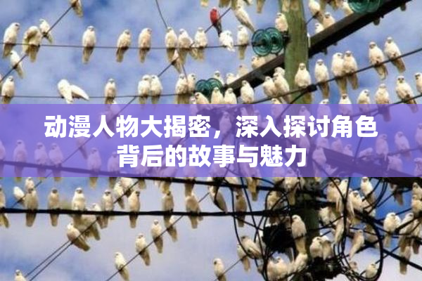 动漫人物大揭密，深入探讨角色背后的故事与魅力
