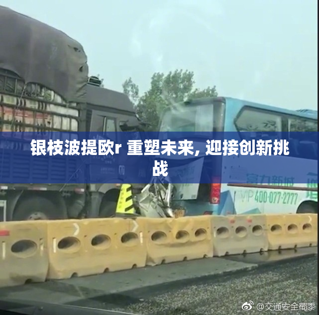 银枝波提欧r 重塑未来, 迎接创新挑战