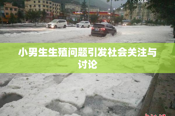小男生生殖问题引发社会关注与讨论