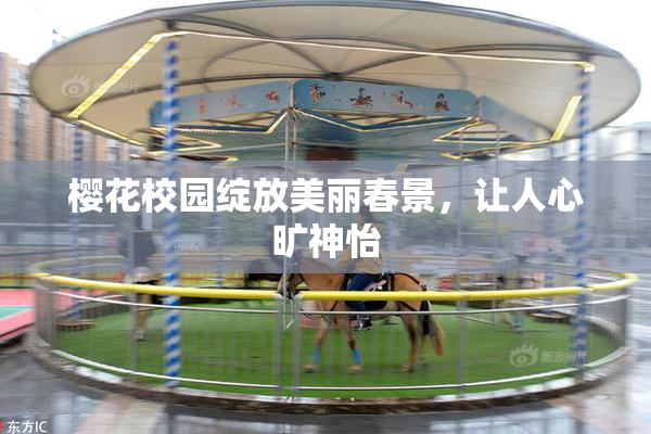 樱花校园绽放美丽春景，让人心旷神怡