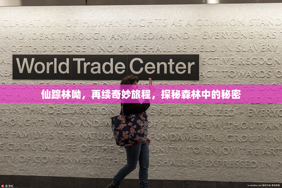 仙踪林呦，再续奇妙旅程，探秘森林中的秘密