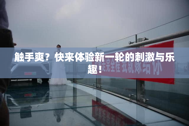 触手爽？快来体验新一轮的刺激与乐趣！