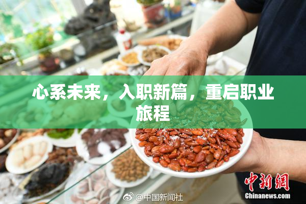 心系未来，入职新篇，重启职业旅程
