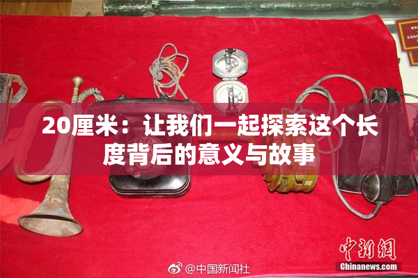 20厘米：让我们一起探索这个长度背后的意义与故事