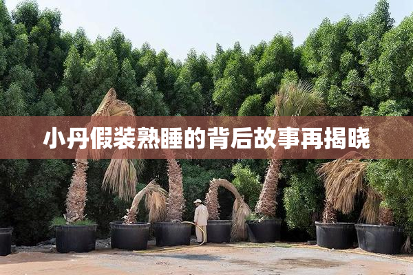 小丹假装熟睡的背后故事再揭晓