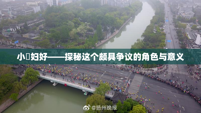 小婬妇好——探秘这个颇具争议的角色与意义