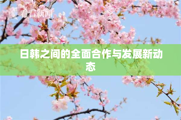 日韩之间的全面合作与发展新动态