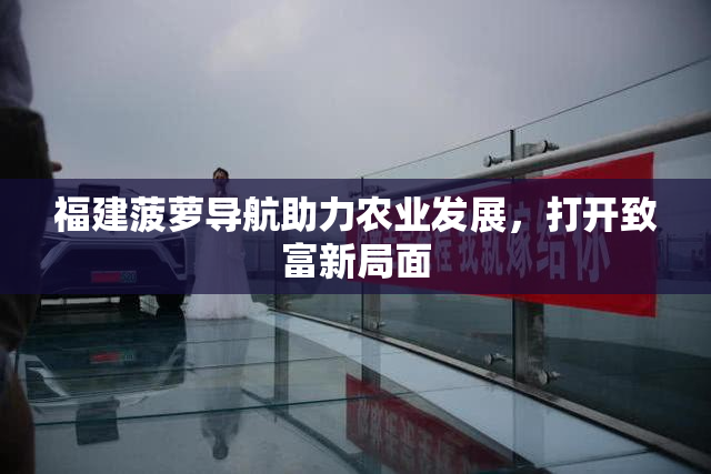 福建菠萝导航助力农业发展，打开致富新局面