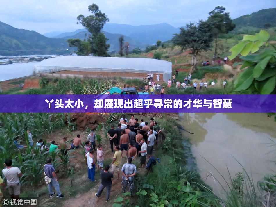 丫头太小，却展现出超乎寻常的才华与智慧