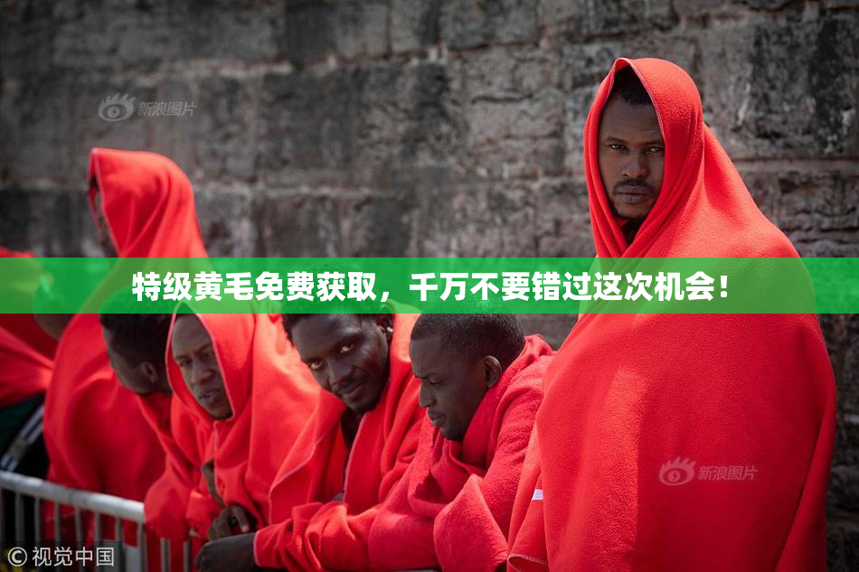 特级黄毛免费获取，千万不要错过这次机会！