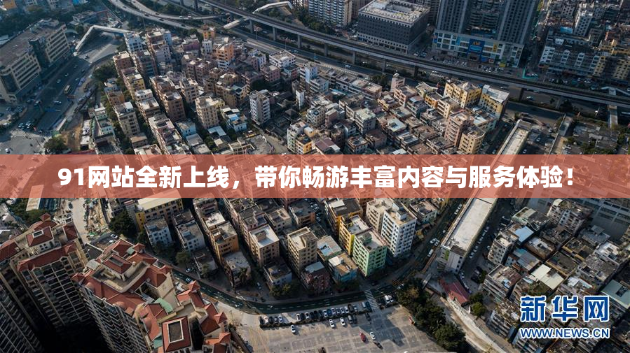 91网站全新上线，带你畅游丰富内容与服务体验！