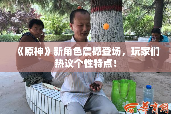 《原神》新角色震撼登场，玩家们热议个性特点！