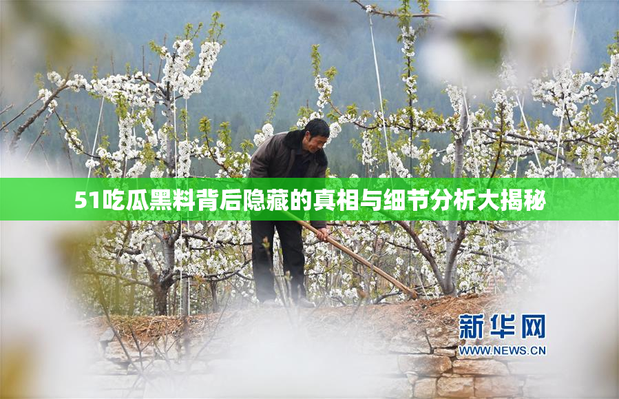 51吃瓜黑料背后隐藏的真相与细节分析大揭秘
