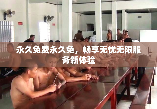 永久免费永久免，畅享无忧无限服务新体验