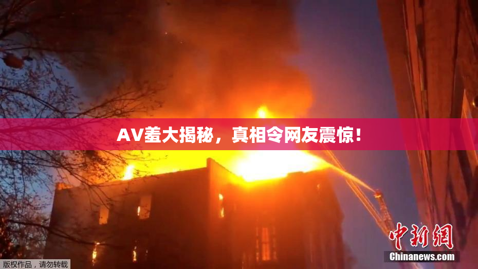 AV羞大揭秘，真相令网友震惊！
