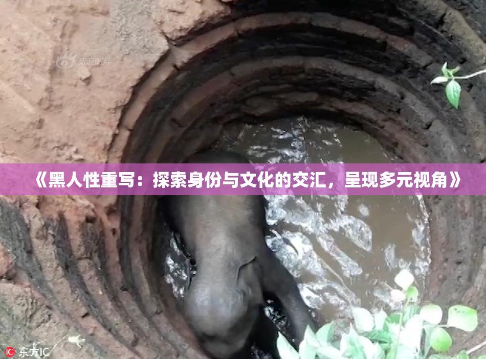 《黑人性重写：探索身份与文化的交汇，呈现多元视角》