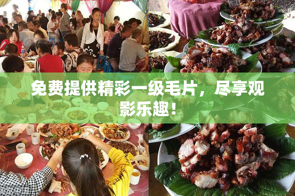 免费提供精彩一级毛片，尽享观影乐趣！