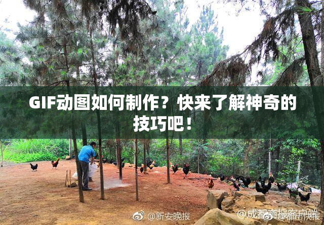 GIF动图如何制作？快来了解神奇的技巧吧！