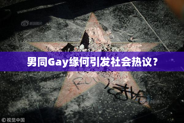 男同Gay缘何引发社会热议？