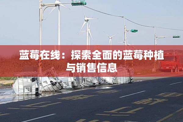 蓝莓在线：探索全面的蓝莓种植与销售信息